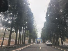 -山王坪喀斯特国家生态公园