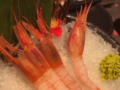 -藤原布二·八佰善会席料理(奥体店)