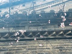 -罔极寺