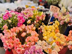 -循礼门鲜花花市(武汉循礼门店)