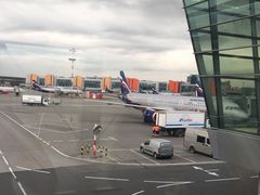 -谢列梅捷沃国际机场