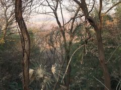 -紫金山山顶公园