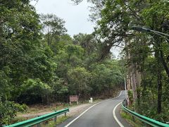 -佛山市三水区大南山森林公园