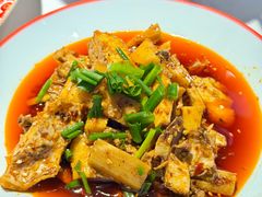 -新概念来凤鱼(璧山店)