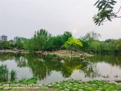 -南翠屏公园