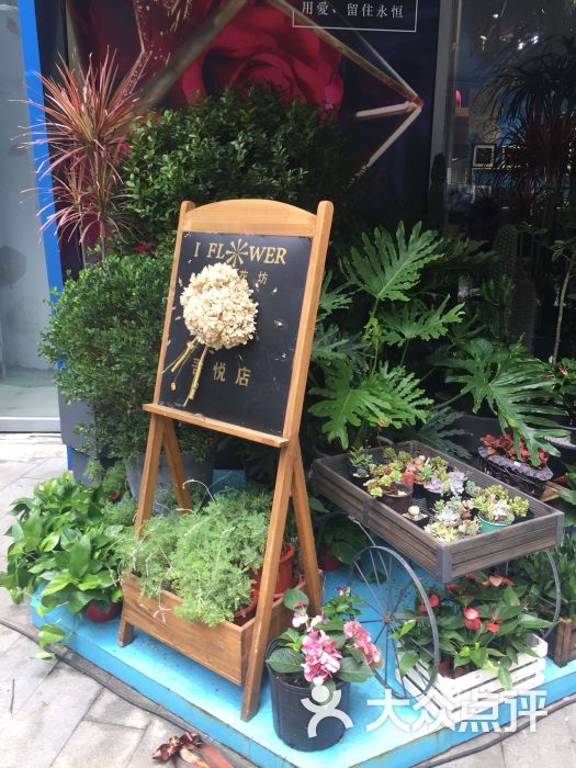 一米花坊图片 - 第1张