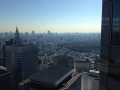 -东京都厅舍