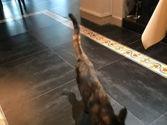 -EATALIA意塔利意式餐厅(鼓楼店)