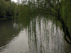 -陆家嘴金融服务广场