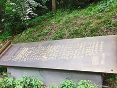 -北极阁公园