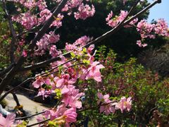 -桃花涧