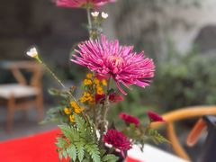 -古今茶语·峨眉山有机茶体验馆