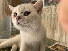 -平行世界·猫咖(首经贸店)