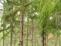 -长春市南湖公园