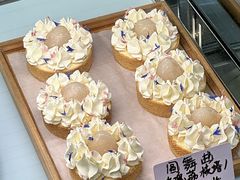 -猫里有甜