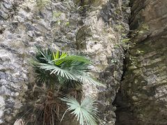-鹿院坪生态旅游景区