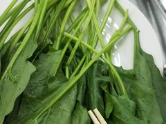 -三兴涮羊肉(荣安大街店)
