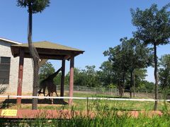 -石家庄市动物园