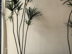 -Pekaa啤咖食肆Coffee&Bistro