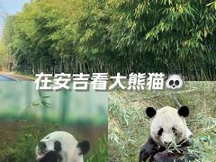 -安吉竹博园