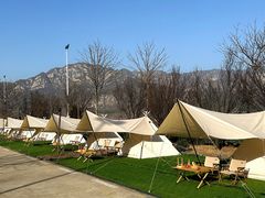 -禅宗少林·音乐大典