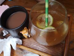 -柴犬高等学院·狗咖·柴犬售卖·宠物训练