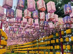 -青龙湖公园