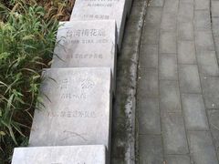 -北京麋鹿生态实验中心
