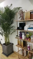 -涩谷· Hair Salon