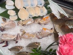 -禄婶鸡煲·打边炉
