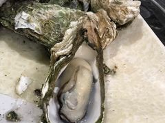 阳江炊蚝-大富蚝乌东哥饭店·石锅鱼杂·柠檬鸭(革新路店)