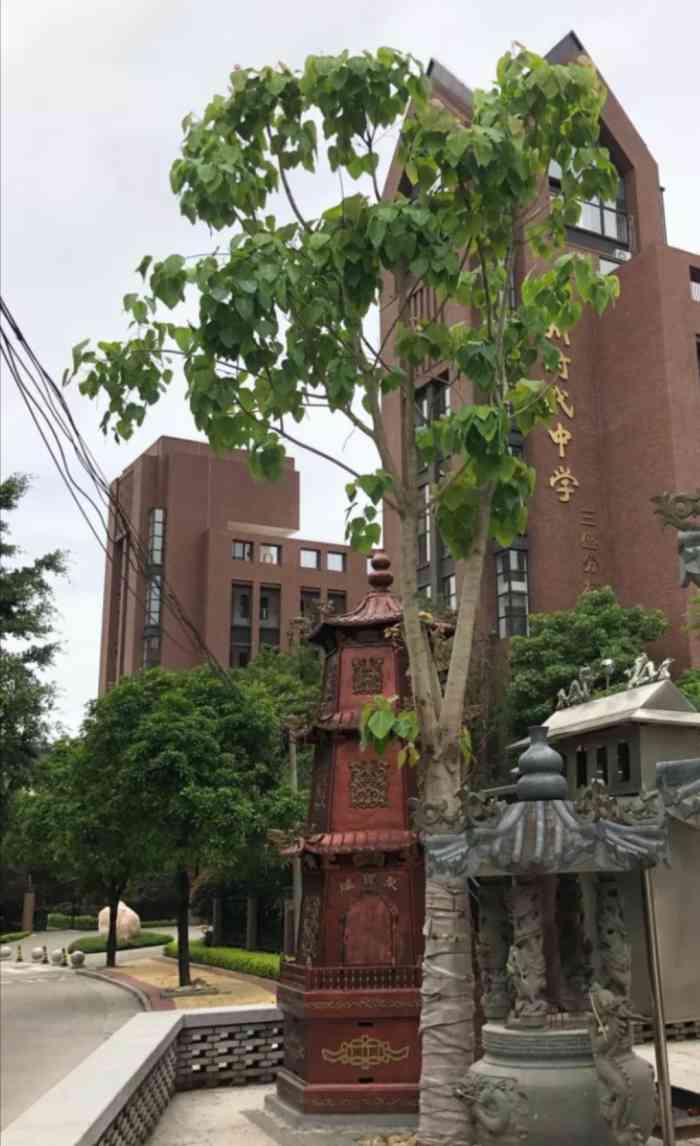 福州鼓楼时代中学-"鼓楼时代是仓山时代的分校,今天九月份才招.