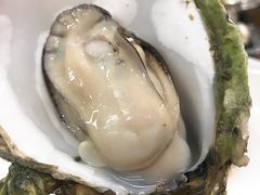 原只蒸生蚝-蚝得喜海鲜(东城店)