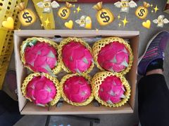 -鸿港海鲜批发市场