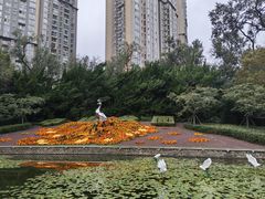 -中山公园