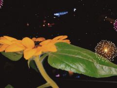 -COMMUNE幻师(五角场店)