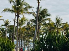 -大梅沙海滨公园