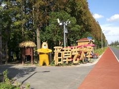 -上海长兴岛郊野公园