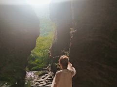 -牛背梁国家森林公园