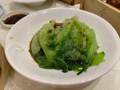 白灼生菜（特）-荣粤酒家·融合粤菜