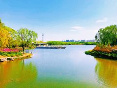 -大兴滨河森林公园