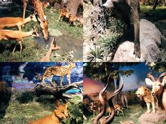 -国家自然博物馆