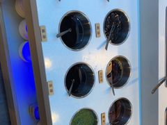 -313羊庄·荣耀·内蒙烧麦(亚运村店)