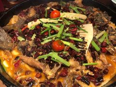 老板恋上鱼-老板恋上鱼(高新万达店)