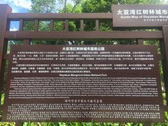 -大亚湾红树林城市湿地公园