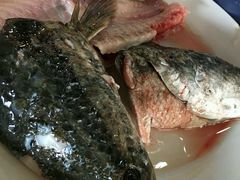 -活鱼馆(宜兴埠店)