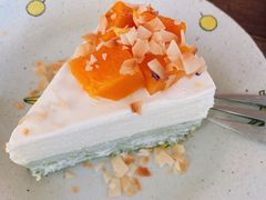 -春风十里咖啡馆