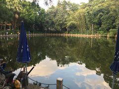 -人民公园(罗湖区)