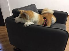 -YCHL Studios健身工作室(市二宫店)