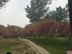 -济南植物园